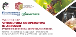 La viticoltura cooperativa in Abruzzo: il 20 maggio workshop a Teramo 